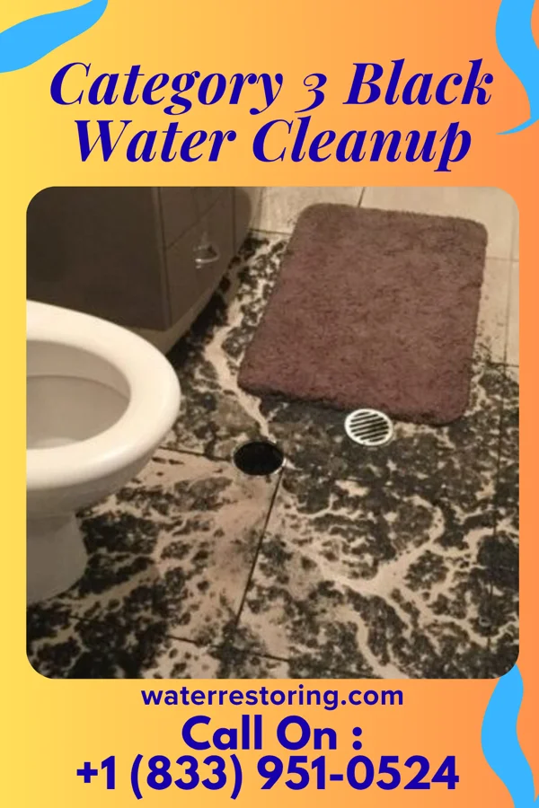 Category 3 Black Water Cleanup in Astoria, OR